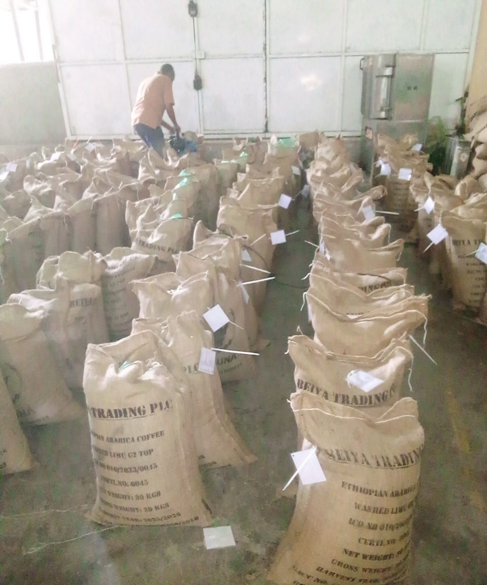 Ethiopia coffee sourcing