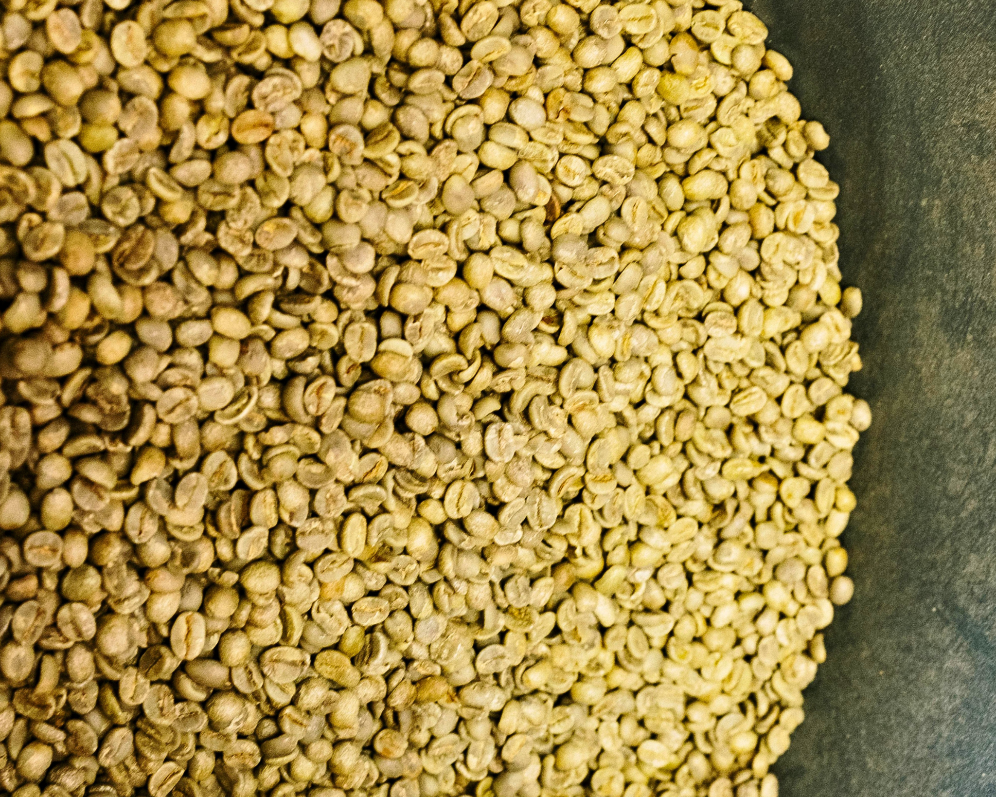 Ethiopia coffee sourcing